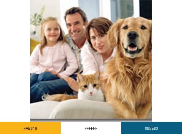 Cedar Grove Vets brand color palette