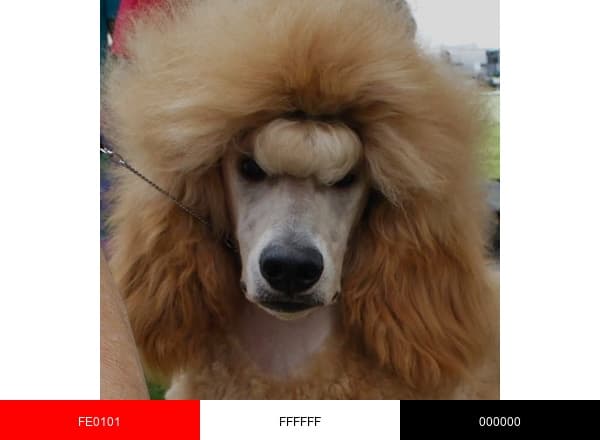 Celebrity Red Standards brand color palette