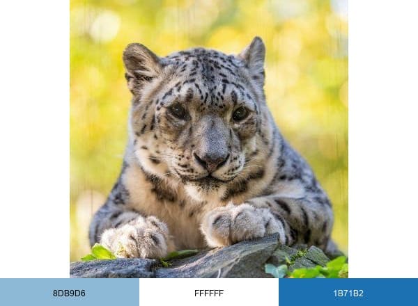 Central Park Zoo brand color palette