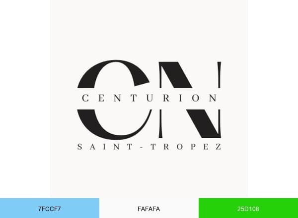 Centurion Limousine Saint-Tropez brand color palette