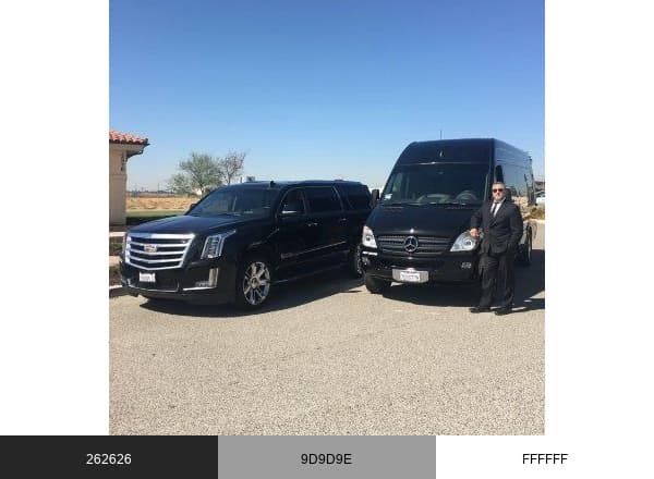 Corporate Executive Transportation brand color palette