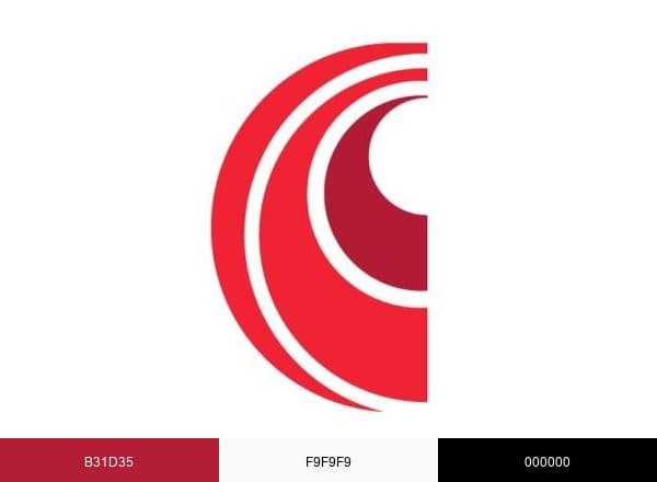 Constantia Flexibles Group brand color palette