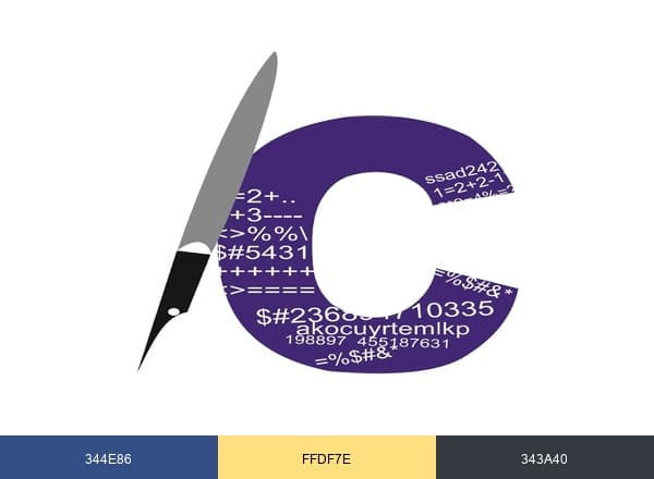 Chahal Academy brand color palette