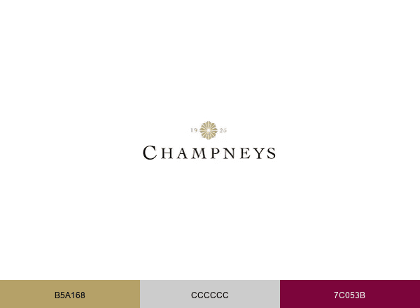 Champneys brand color palette