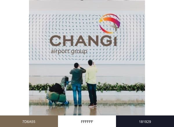 Changi Airport brand color palette