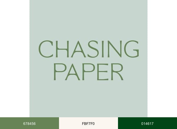 Chasing Paper brand color palette