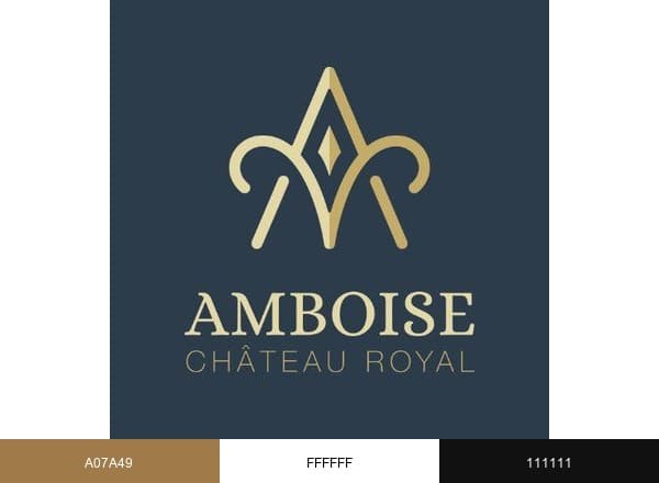 Château Royal d'Amboise brand color palette