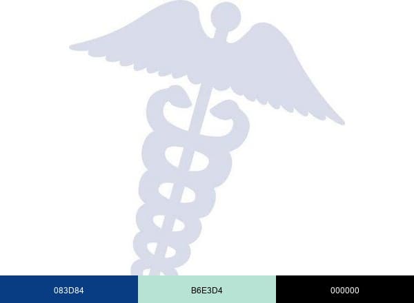 Chattanooga Medicine brand color palette