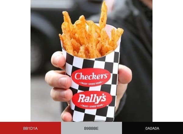 Checkers brand color palette