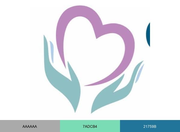Choices Rehabs UK brand color palette