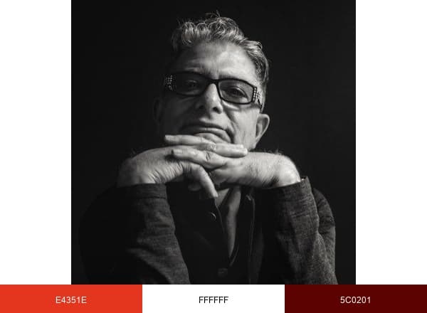 Deepak Chopra brand color palette