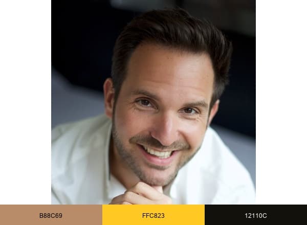 Christophe Michalak brand color palette