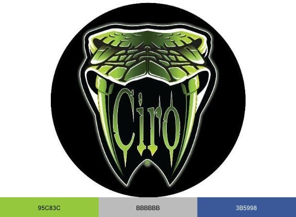 Ciro brand color palette