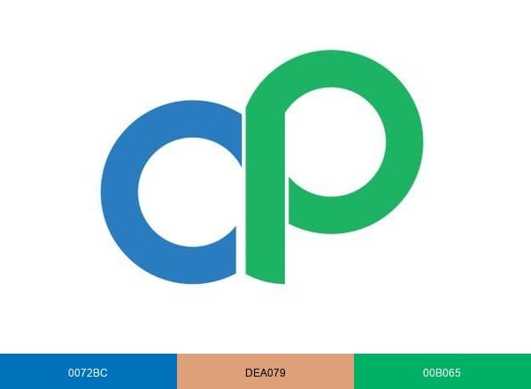 CitizenPath brand color palette