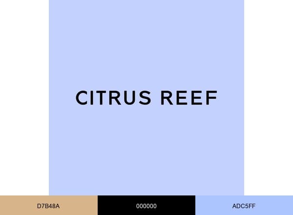 Citrus Reef brand color palette