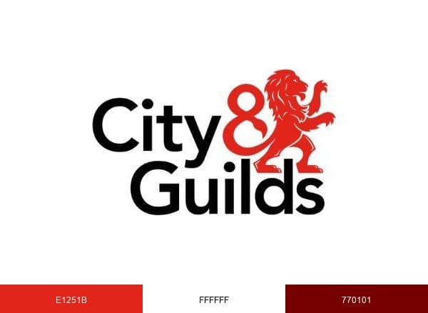 City & Guilds brand color palette