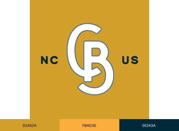 City Box Durham brand color palette