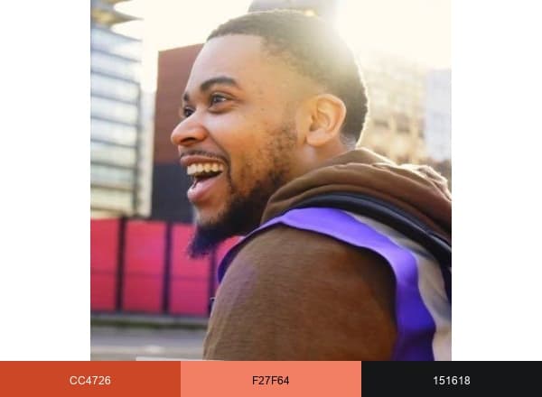 CJ Writes brand color palette