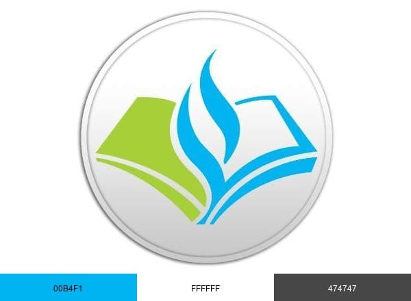 Collier County Public Schools brand color palette