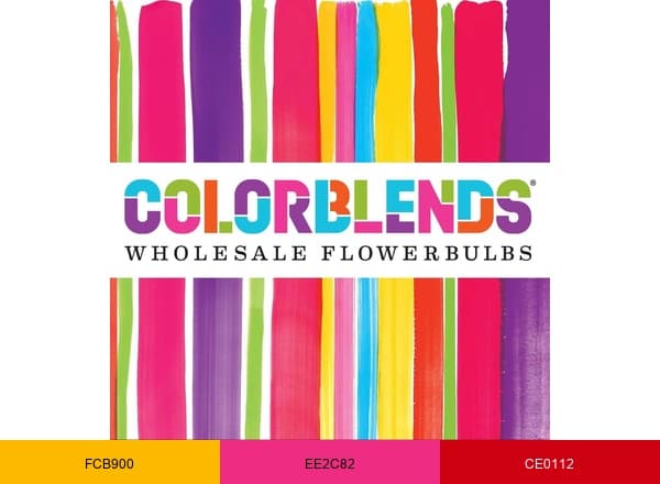 Colorblends Wholesale Flowerbulbs brand color palette