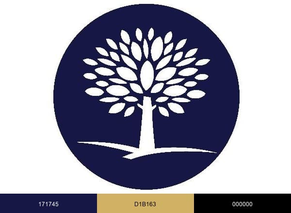 Advanced Recovery Systems brand color palette