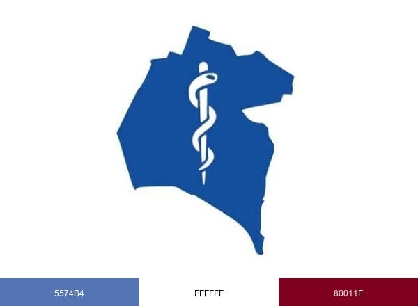 Colegio Oficial de Médicos de Huelva brand color palette