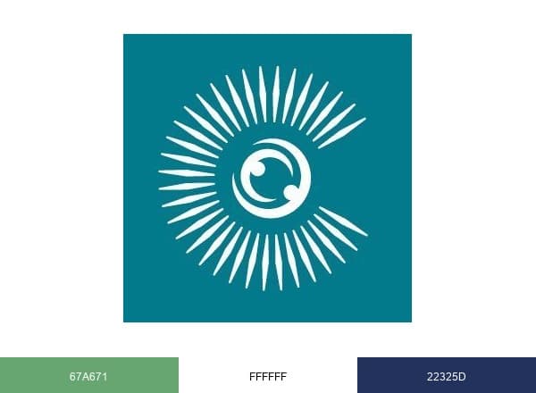 Commonwealth Foundation brand color palette