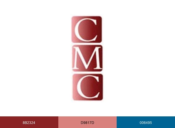 Community Management and Consulting brand color palette