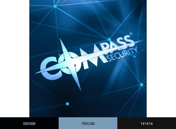 Compass Security brand color palette