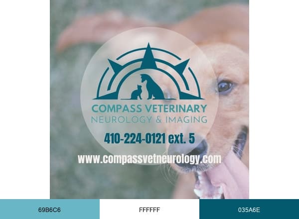 Compass Veterinary Neurology & Imaging brand color palette