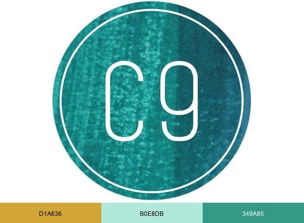 Concord &amp; 9th brand color palette