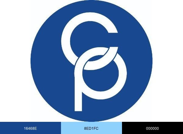 Connections Personnel brand color palette
