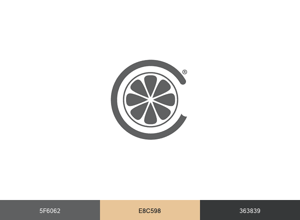 ConnectYourCare brand color palette