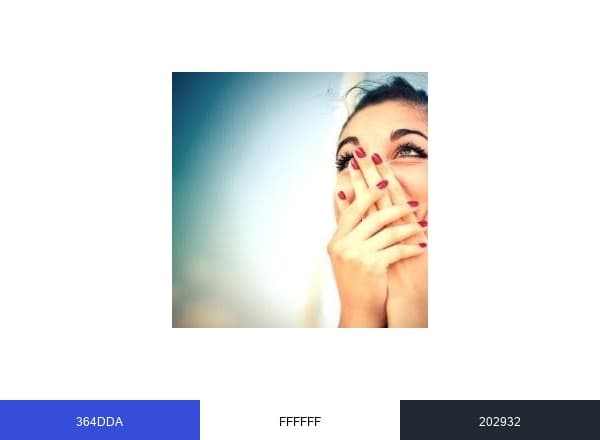 Emotion Module DEMO brand color palette