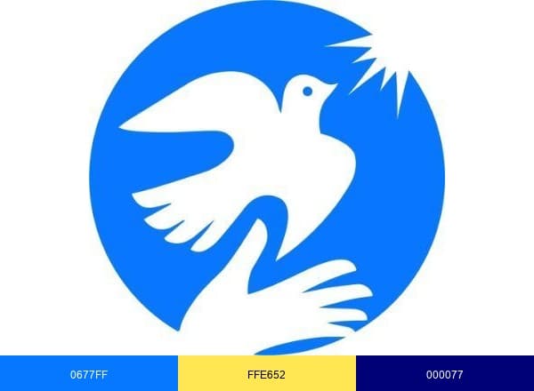 Covenant House brand color palette
