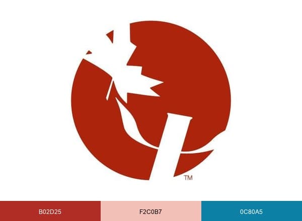 Canadian Psychological Association brand color palette