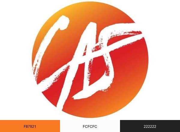 Craig Alan Studio brand color palette