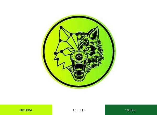 CryptoFalka Hungary brand color palette