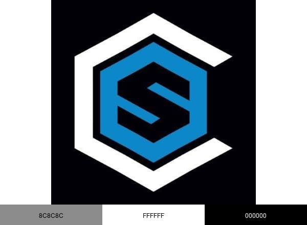 Caspian Services brand color palette