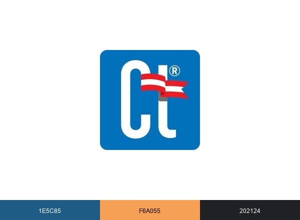 CT Government brand color palette