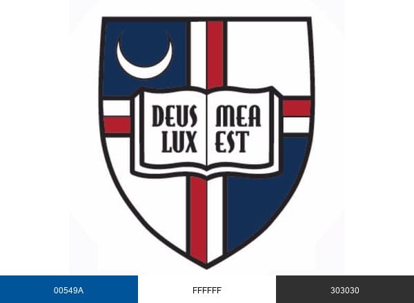 The Catholic University of America brand color palette