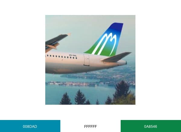 daallo Airlines brand color palette