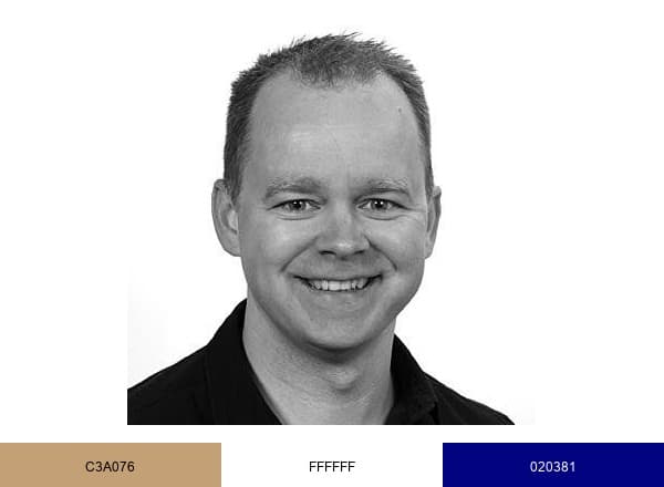 Peter brand color palette