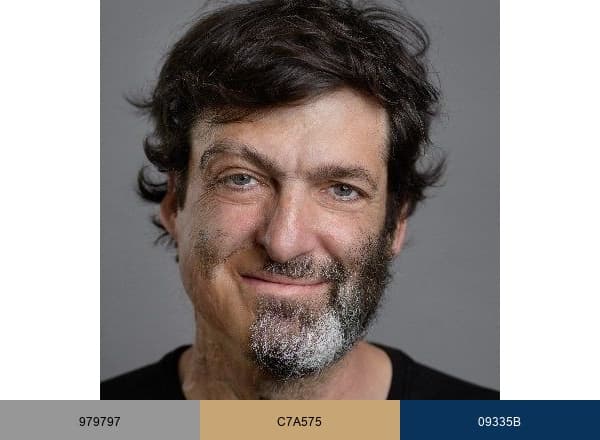 Dan Ariely brand color palette