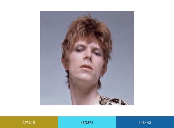 David Bowie brand color palette
