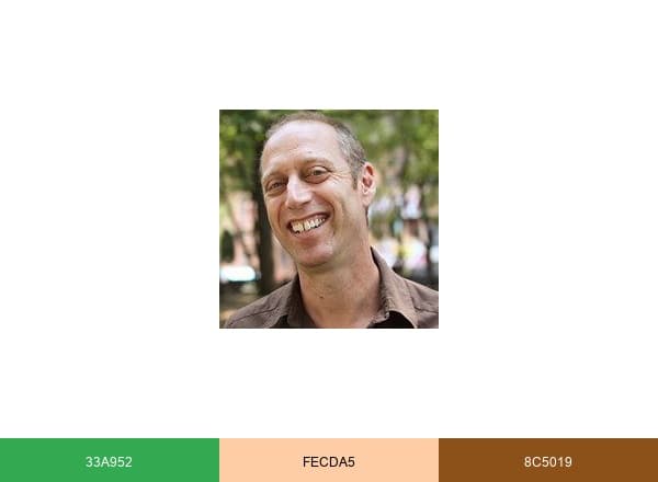 David Lebovitz brand color palette