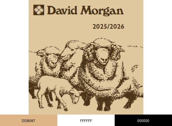 David Morgan llc brand color palette