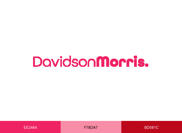 DavidsonMorris brand color palette