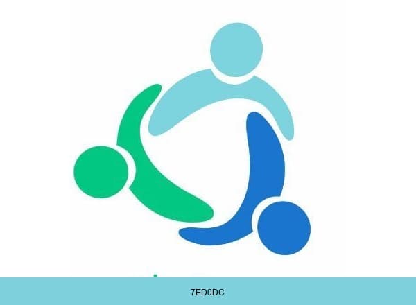 Day-Clinic brand color palette