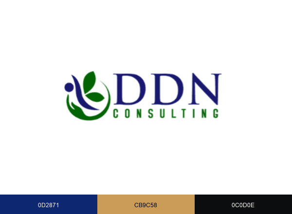 DDN Consulting Services brand color palette